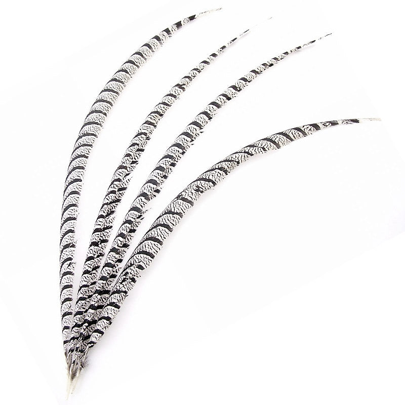 Lady Amherst's Pheasant feather – Usagi no Nedoko