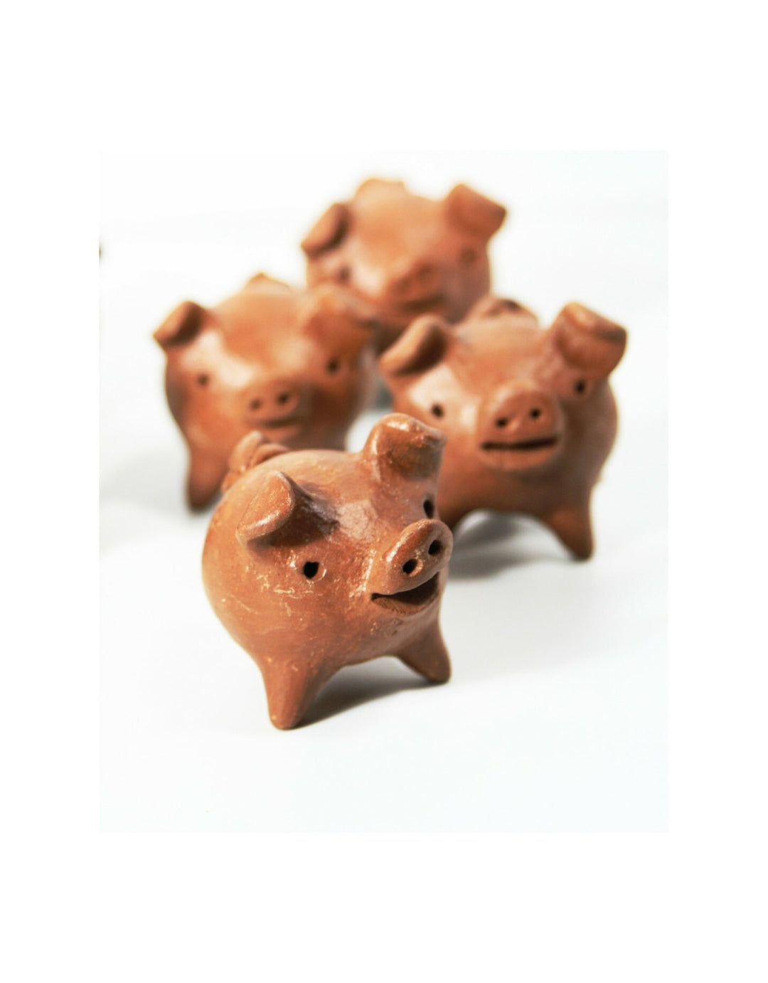 Good Luck Ceramic Pig – Jupiter Row